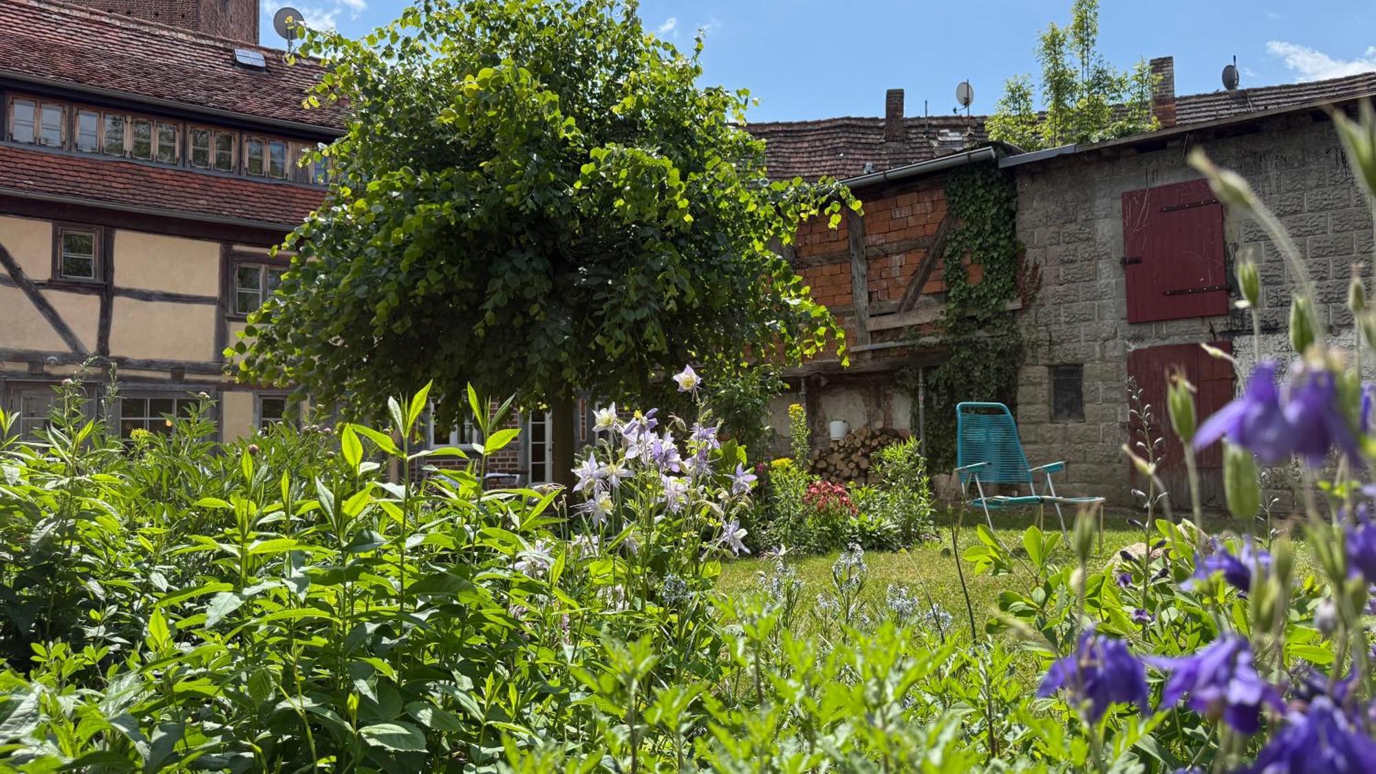 Ferienhaus St. Johannis Werben (Saxony-Anhalt) Exterior foto