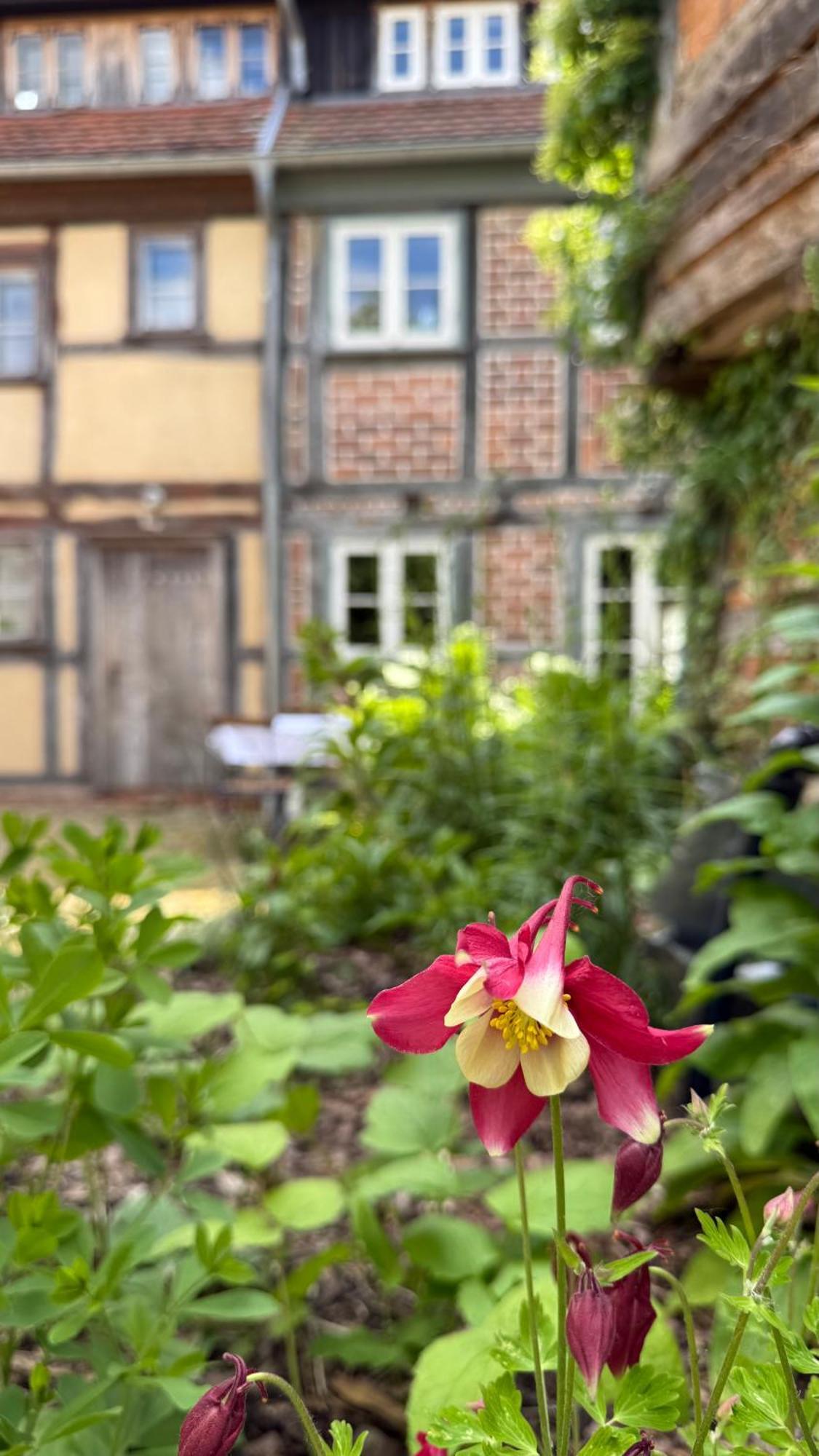Ferienhaus St. Johannis Werben (Saxony-Anhalt) Exterior foto